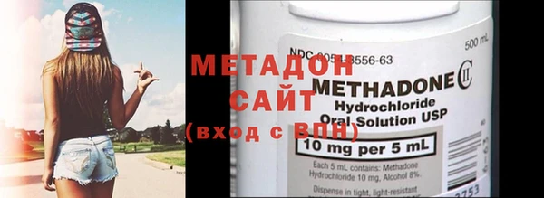 сатива Корсаков