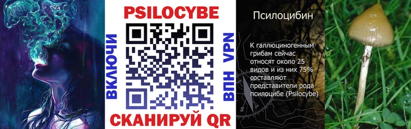 Купить закладки  Анапа  Псилоцибиновые грибы GOLDEN TEACHER 